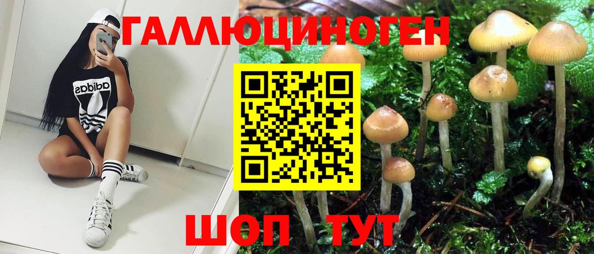 Галлюциногенные грибы MAGIC MUSHROOMS  Вход с VPN  купить наркотик  Вязьма 
